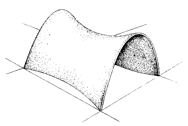 curved shell