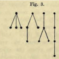 Butcher Series - A Story of Rooted Trees and Numerical Methods for Evolution Equations