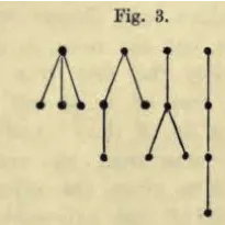 Butcher Series - A Story of Rooted Trees and Numerical Methods for Evolution Equations